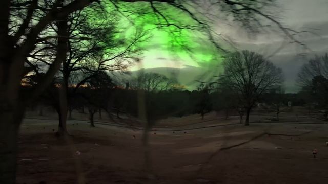 Indigo Phoenyx Doctor Sleep