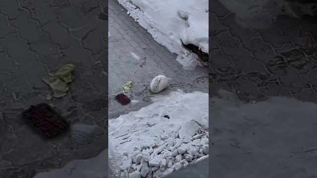 Такого вы точно не видели 👀😳!!! смотреть онлайн