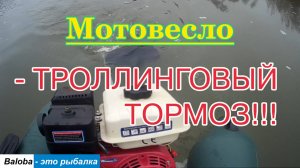 Мотовесло - и троллинговый тормоз