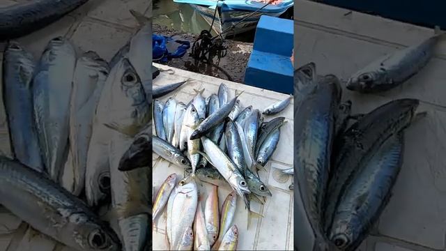 Турция, велотрип утро Фетхие, ссылка в комментариях. смотреть онлайн