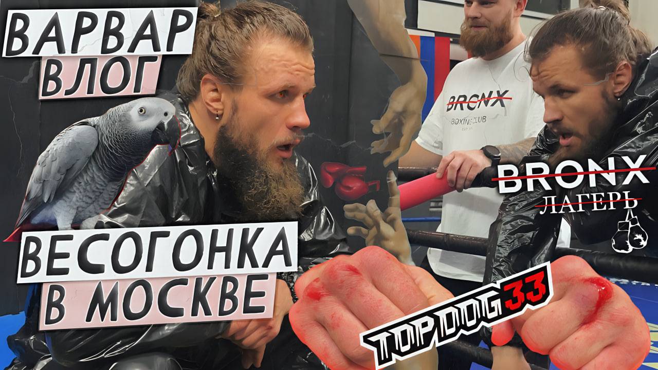 ВАРВАР ВЛОГ- ЛАГЕРЬ BRONX / ВЕСОГОНКА В МОСКВЕ TOPDOG 33