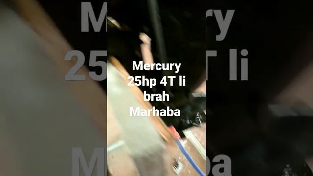 Mercury 25cv смотреть онлайн