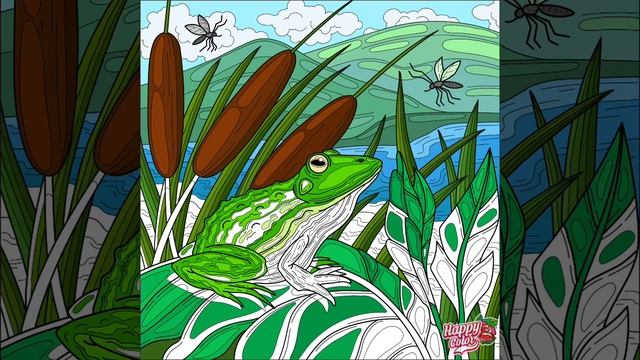 Happy Color Frog Sitting On A Leaf With Mosquitos In The Sky By The Mountains