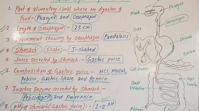 BIOLOGY MAHASANGRAM lecture- 8 for SSC HSSC CGL CLERK NTSE BANKING EXAMS смотреть онлайн