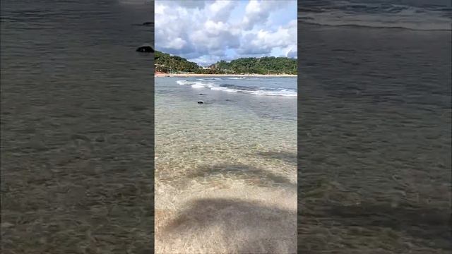 Тихий Пляж без волн Унаватуна. Шри Ланка за 58 тысяч рублей с перелетом горящий тур. @tutsi-dieti смотреть онлайн