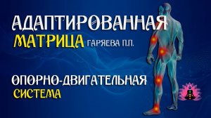 Опорно-двигательная система🎶 🌀 Адаптированная матрица по технологии Гаряева ☀️ SoftRadio.ru