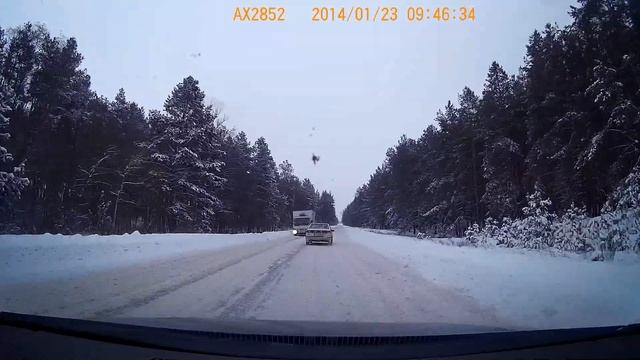 В лесу + кусочек льда смотреть онлайн