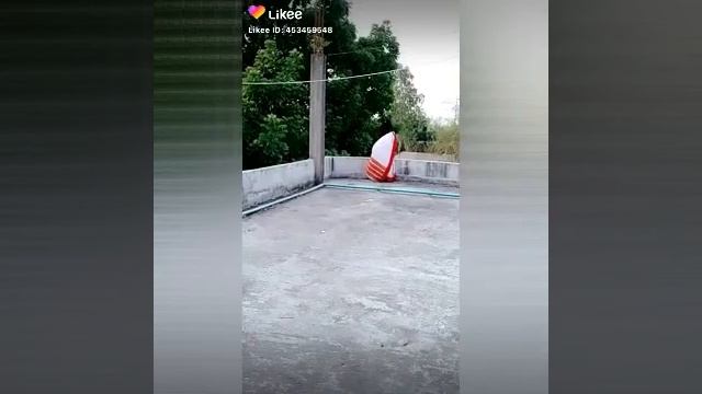 2020saler sera like video gulo Valo lagbe dekhun смотреть онлайн