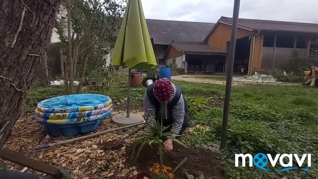 завтрак // Посадила/// цветы Сварила ужин. смотреть онлайн