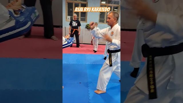Отработка Мае Гери по лапам. #karate #каратэ #asairyu смотреть онлайн