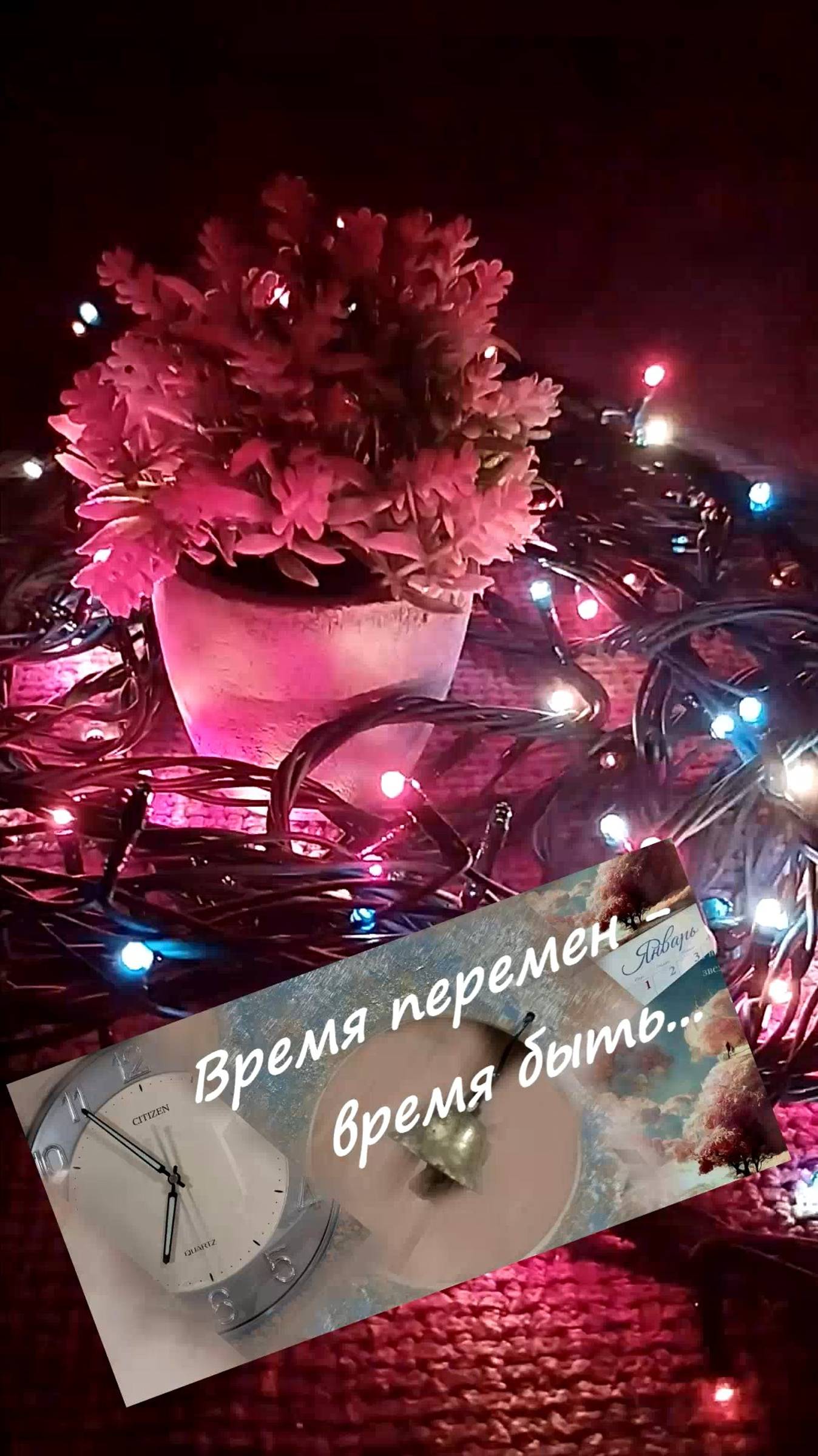 Что делает человека счастливым? #shorts смотреть онлайн