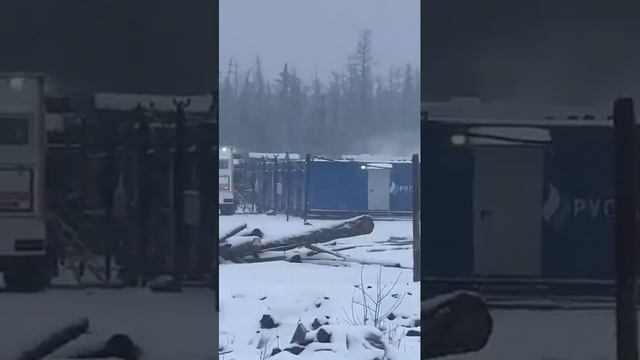 медведь шатун,смотреть до конца смотреть онлайн