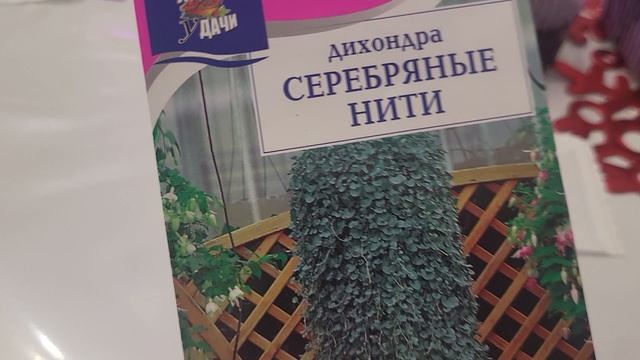 ОБЯЗАТЕЛЬНО ПОСЕЙТЕ ДИХОНДРУ ТАК! ОНА УКРАСИТ ВАШ САД! смотреть онлайн