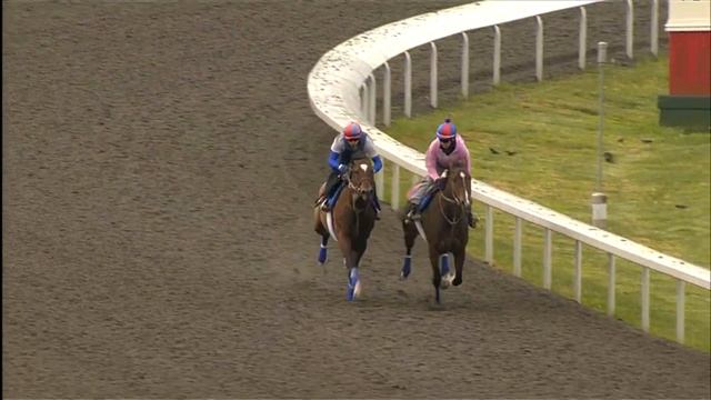 Went the Day Well 4/14/12 Work at Keeneland смотреть онлайн