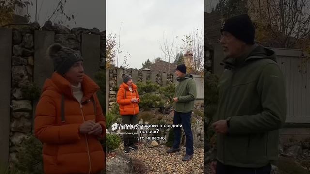 Про сроки обрезки деревьев с Андреем Дарусенковым. смотреть онлайн