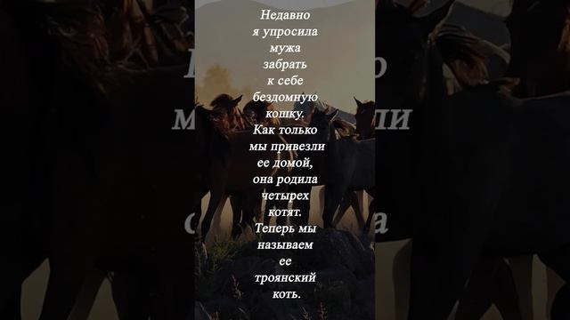 Ну, как экзамен? смотреть онлайн