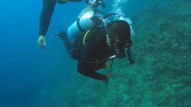 Scuba Diving In Jeddah Feb 2023