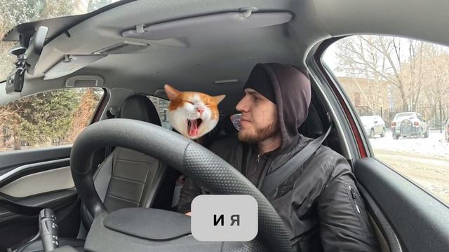 У Пассажирке не Оказалось Налички, Конфликт в Яндекс Такси.