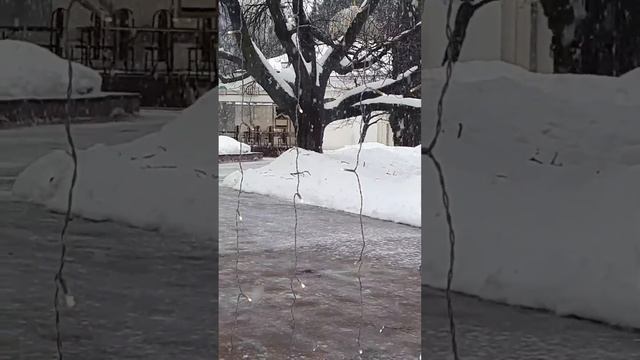 А снег идет ❄❄❄