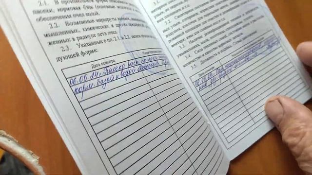 Мир животных и птиц