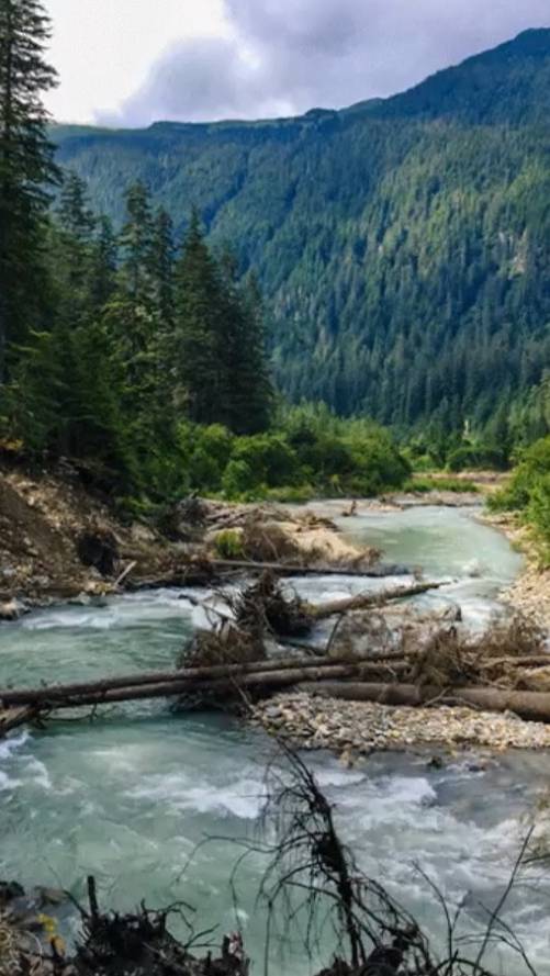 Ты сказал ... смотреть онлайн