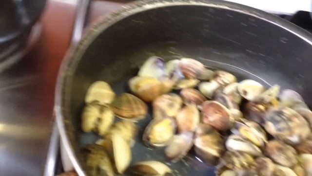 Ricette Da Sballo Spaghettoni N 7 Con Vongole Contaminate смотреть онлайн