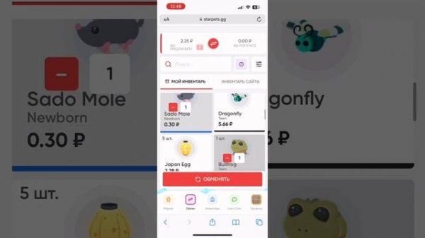 КАК ПОЛЬЗОВАТЬСЯ СТАРПЕТСОМ?|ПОДРОБНО РАССКАЗАЛА Р ТОМ, КАК РАБОТАЕТ СТАРПЕТС