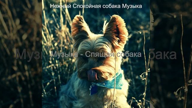 Видения (Расслабляющие собаки) смотреть онлайн