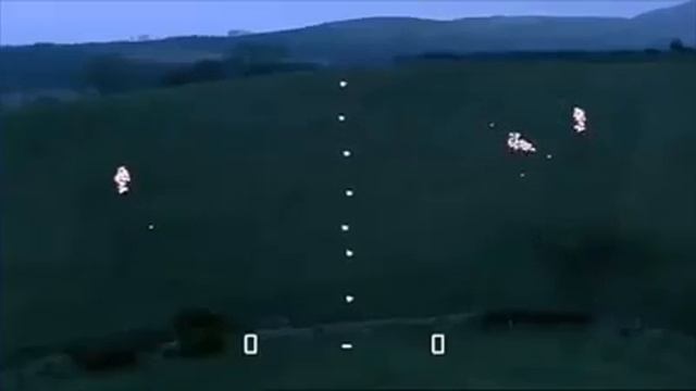 Очень умные собаки! смотреть онлайн