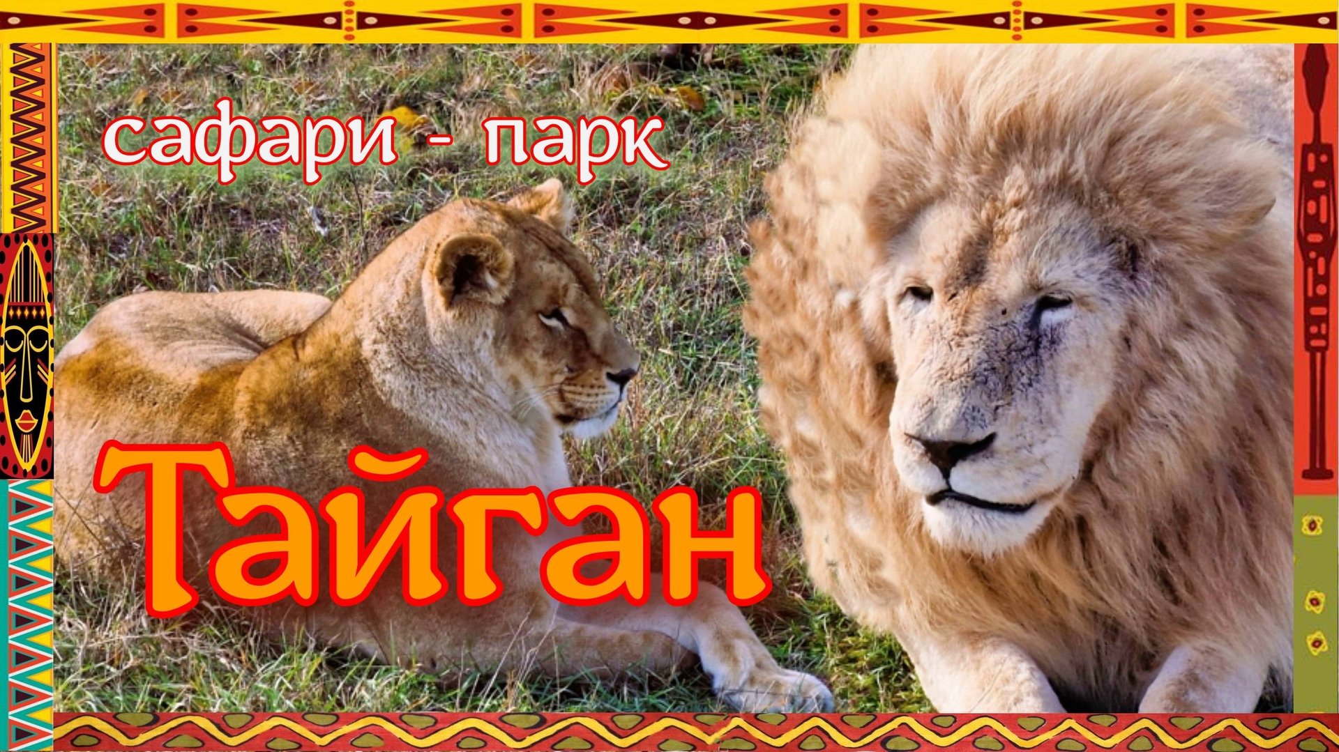 Крым. Львы сафари-парка Тайган смотреть онлайн