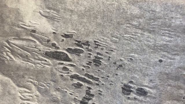 How To Make Crispy Ravioli Bake Appetizer смотреть онлайн