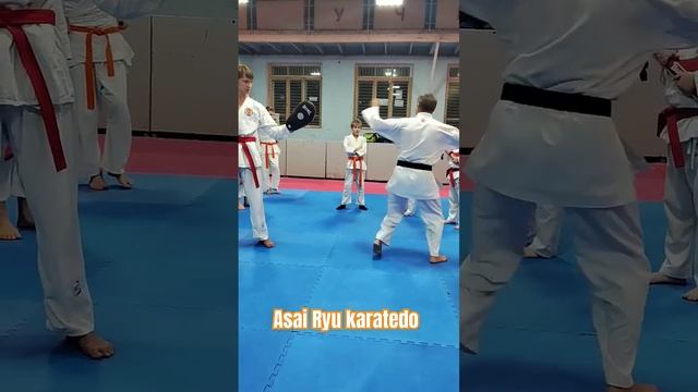 Объяснение техники Уширо маваси Гери. #каратэ #asairyu #karate смотреть онлайн