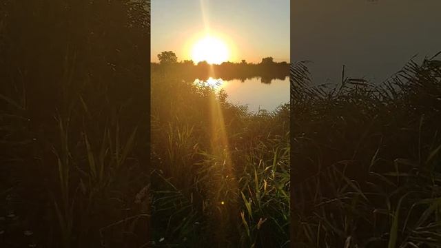 🌞❤️ смотреть онлайн