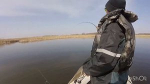 Обкатка лодочного мотора Toyama 9.9(15сил) фильм 2