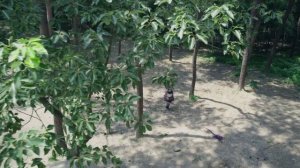 Легенда о мече и фее 5 сезон 5 серия