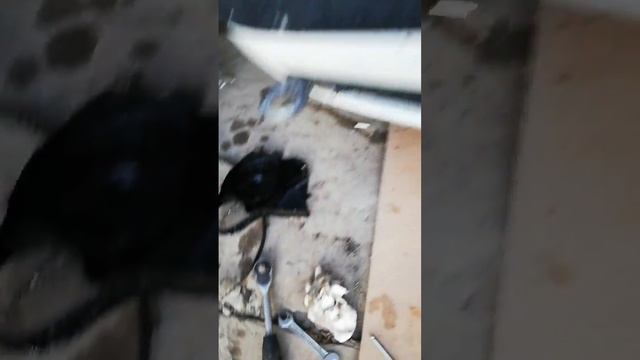 Меняю сальник промвала смотреть онлайн