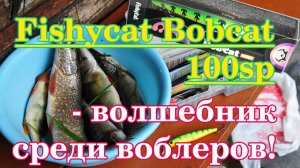 Fishycat Bobcat 100SP - волшебник среди воблеров!
