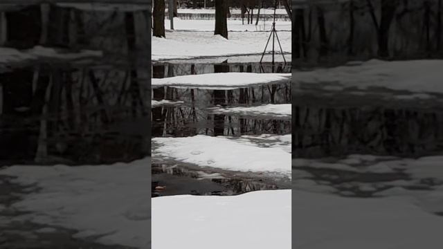 САНКТ-ПЕТЕРБУРГ....МАРТ...2023 ГОД...🦆🦆🦆🦆🦆🦆🦆🦆🕊🕊🕊🕊🕊🌅🌅🌅 смотреть онлайн