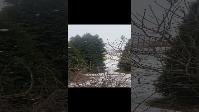 Преображенская церковь