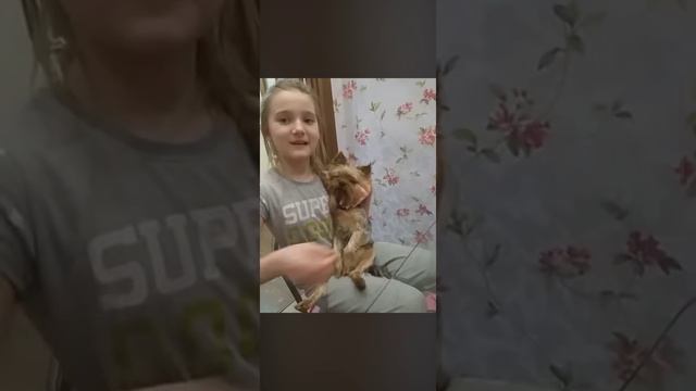 💕 смотреть онлайн