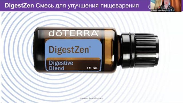 DigestZen - теория смотреть онлайн