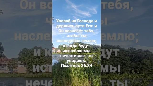 Уповай на Господа и держись пути Его: и Он вознесёт тебя, чтобы ты наследовал землю; смотреть онлайн