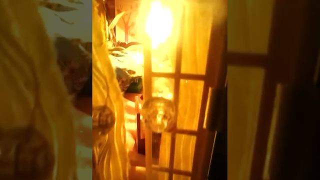 Дом л.о.л со светом.