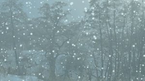 Футаж. Зимний пейзаж 129