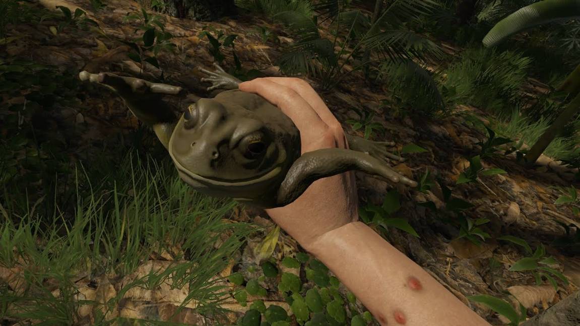 Как выжить в лесу? смотреть онлайн