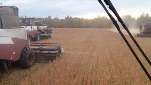 уборка 2017.Кейс2388 Акрос 530.