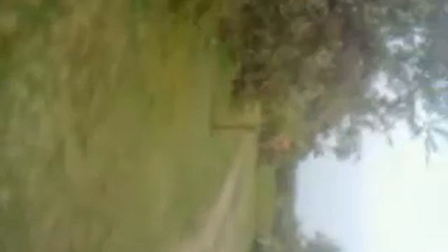 Смешной ролик 2014 смотреть онлайн