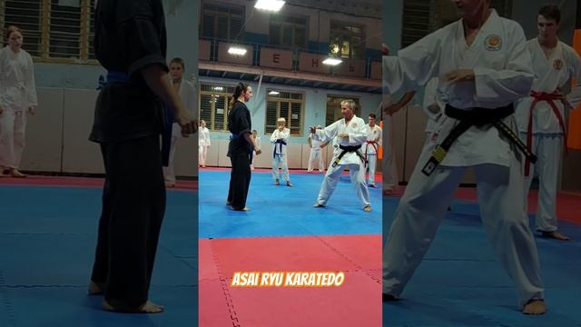 Объяснение техники Ёко Гери кекоми. #asairyu #karate #каратэ смотреть онлайн