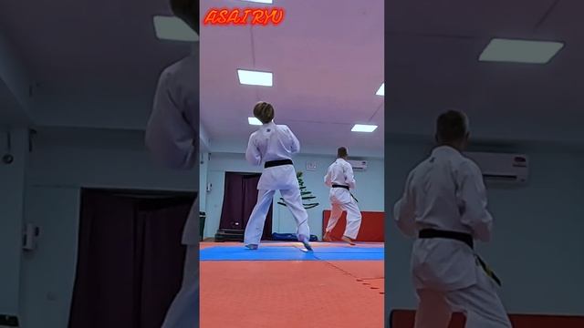 Asai Ryu karatedo. Каратэ - это жизнь! #asairyu #karate #каратэ смотреть онлайн