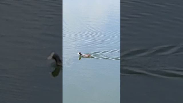 🍃 смотреть онлайн